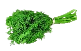 Dill Leaves Per Pack