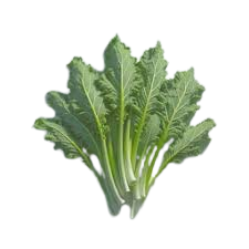 Fiji Leaves 100g