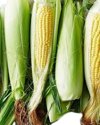 Fresh Corn Stick