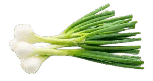 Green Onion 1Bunch