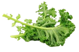 Kale 100g