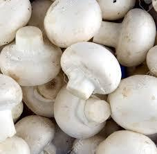 Mashrooms 1 Pot