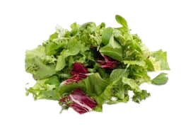 Mix Salad Leaves