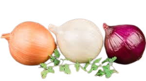 Onion