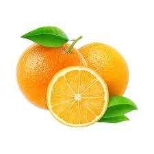 Oranges 1 Dozen