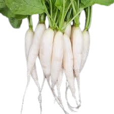 Radish White 1Kg