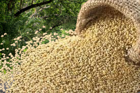 Quinoa 500g